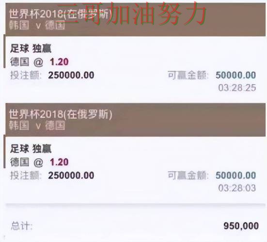 世界杯投注平台推荐揭秘：聚焦用户反馈与赛事直播体验 - 世界杯实时直播